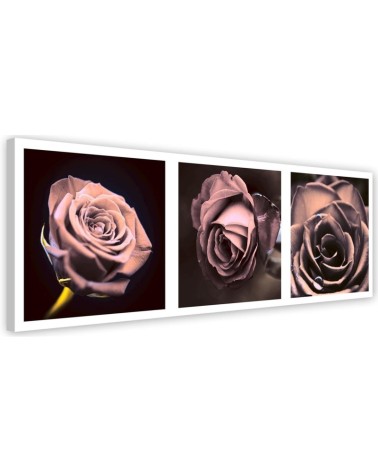 Leinwandbild - Panorama - Rosen | Feeby
