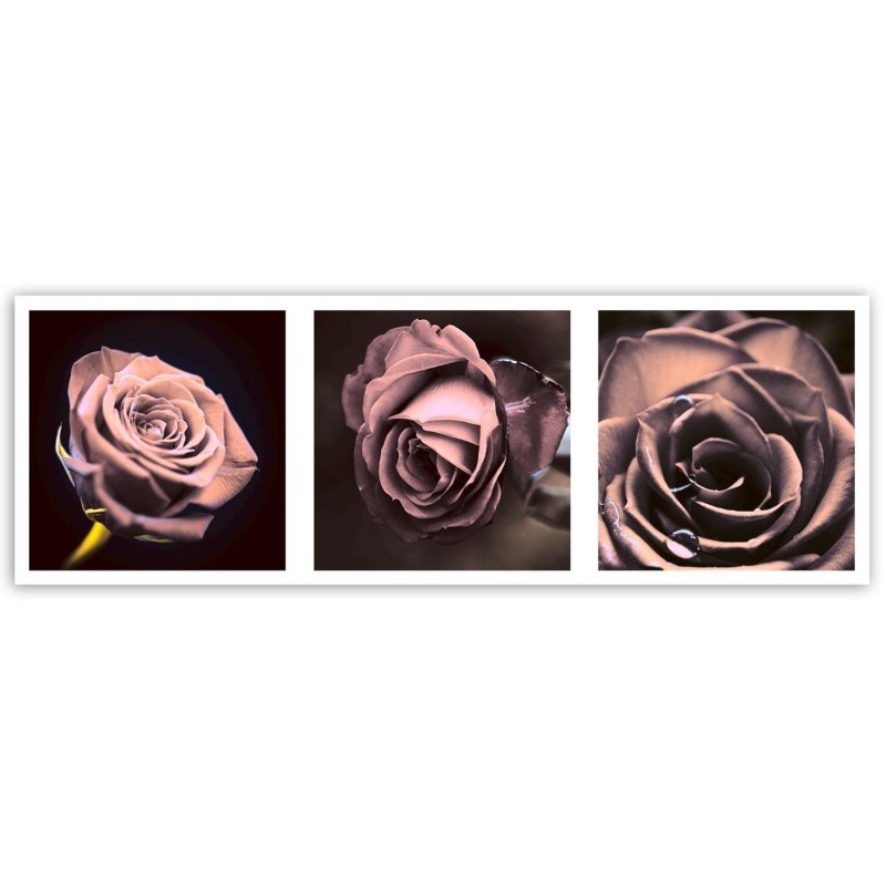 Leinwandbild - Panorama - Rosen | Feeby