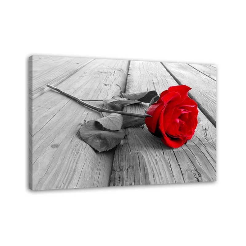 Leinwandbild modern - Rote Rose | Feeby