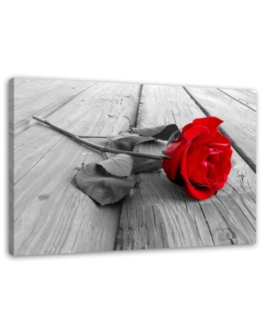 Red rose flower on a bridge - Canvas print. High quality  | FEEBY