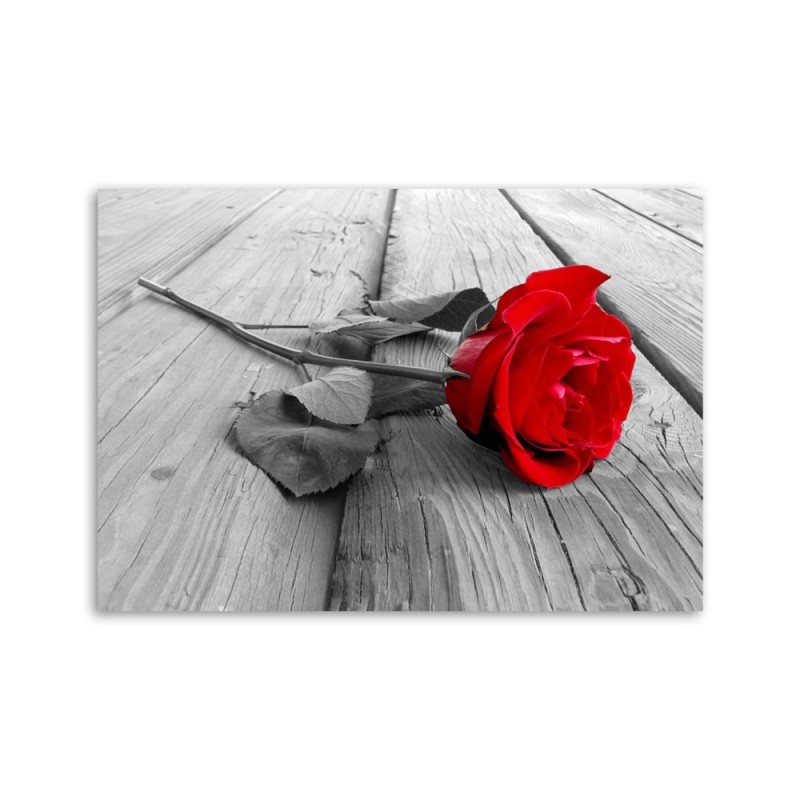 Leinwandbild modern - Rote Rose | Feeby