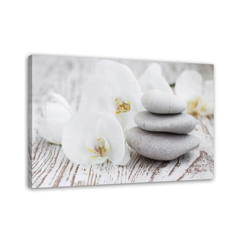 Wandbild für Wohnzimmer - Weiße Orchidee und Steine | Feeby