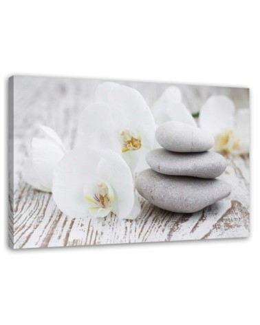 Wandbild für Wohnzimmer - Weiße Orchidee und Steine | Feeby