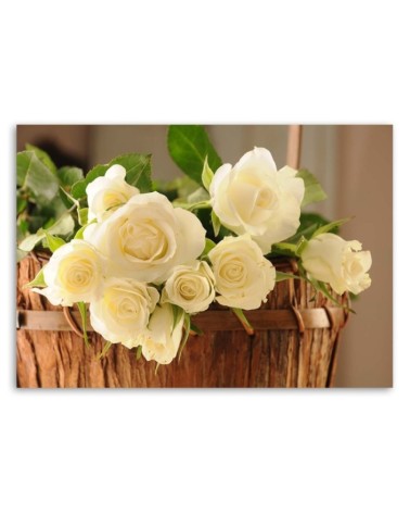 Leinwandbild - Gelbe und weiße Rosen | Feeby