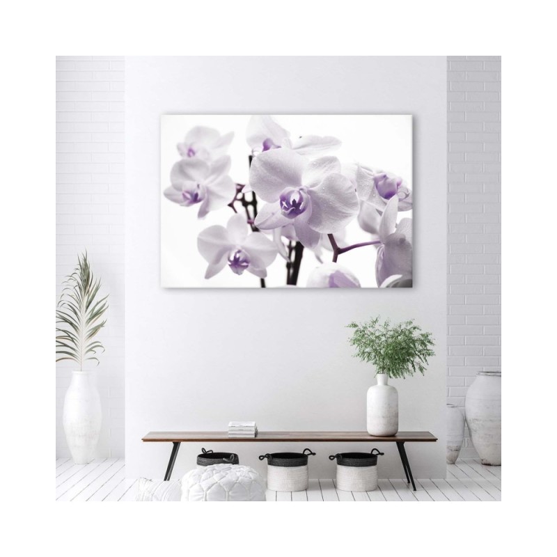 Wandbild für Wohnzimmer - Weiße und lila Orchidee | Feeby