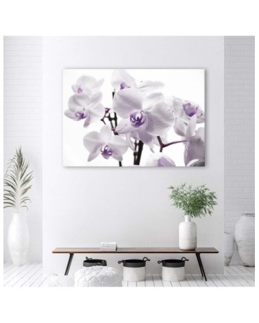 Wandbild für Wohnzimmer - Weiße und lila Orchidee | Feeby