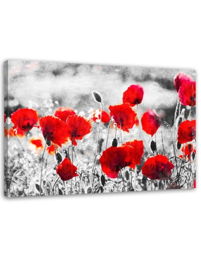 Leinwandbild modern - Roter Klatschmohn | Feeby