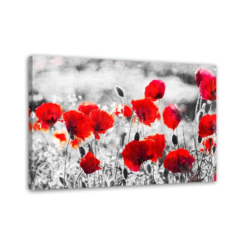 Leinwandbild modern - Roter Klatschmohn | Feeby