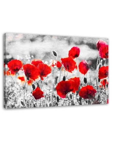 Modern Canvas painting for bedroom - Red field poppies | FEEBY