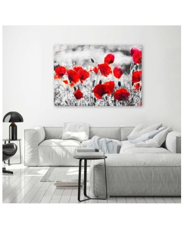 Leinwandbild modern - Roter Klatschmohn | Feeby