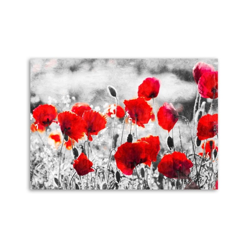 Leinwandbild modern - Roter Klatschmohn | Feeby