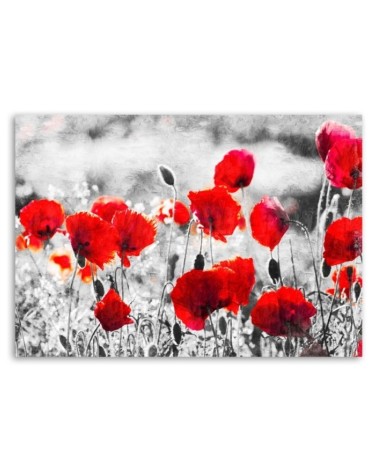 Leinwandbild modern - Roter Klatschmohn | Feeby