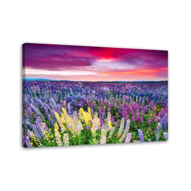 Dekoratives Leinwandbild - Blühende Wiese | Feeby