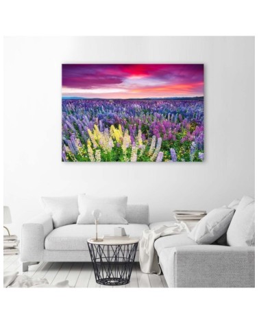 Dekoratives Leinwandbild - Blühende Wiese | Feeby