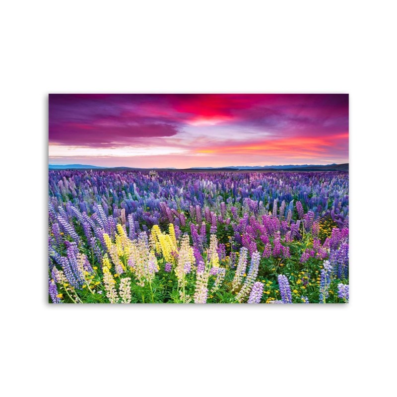 Dekoratives Leinwandbild - Blühende Wiese | Feeby