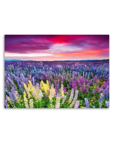 Dekoratives Leinwandbild - Blühende Wiese | Feeby