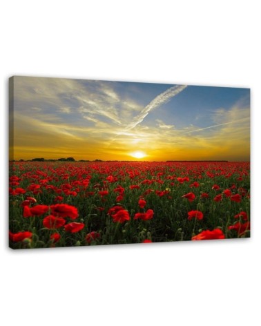 Leinwandbild - Wiese voller roter Mohnblumen in der Sonne | Feeby