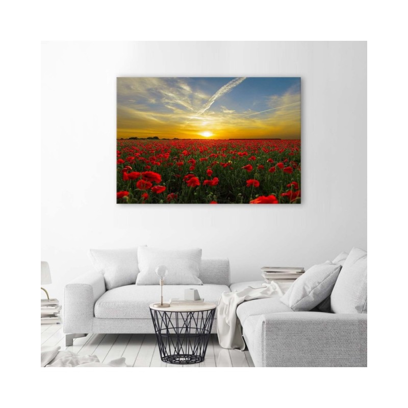 Leinwandbild - Wiese voller roter Mohnblumen in der Sonne | Feeby