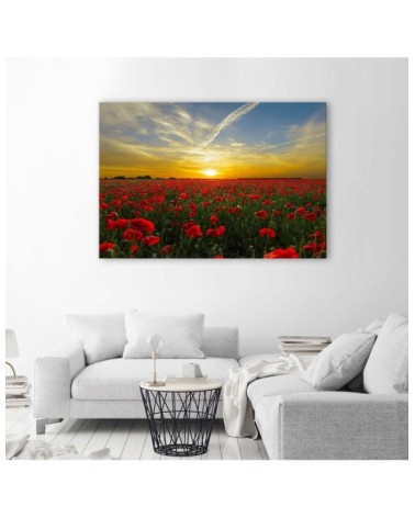 Leinwandbild - Wiese voller roter Mohnblumen in der Sonne | Feeby