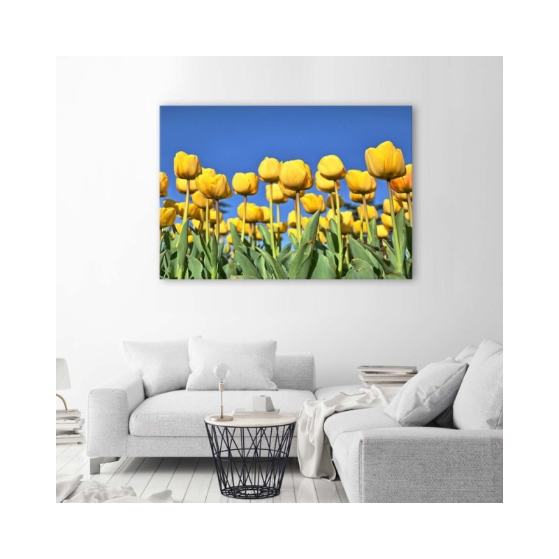 Modernes Wandbild - Gelbe Tulpen auf einer Wiese | Feeby
