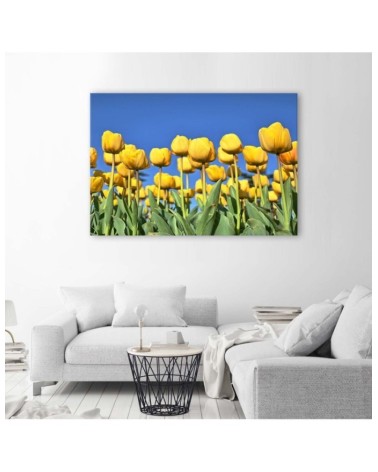 Modernes Wandbild - Gelbe Tulpen auf einer Wiese | Feeby