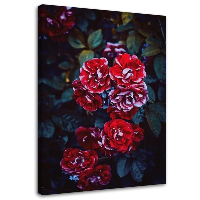 Bild - Rote Blumen auf einem Hintergrund aus Blättern | Feeby