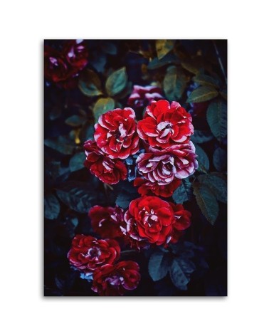 Bild - Rote Blumen auf einem Hintergrund aus Blättern | Feeby