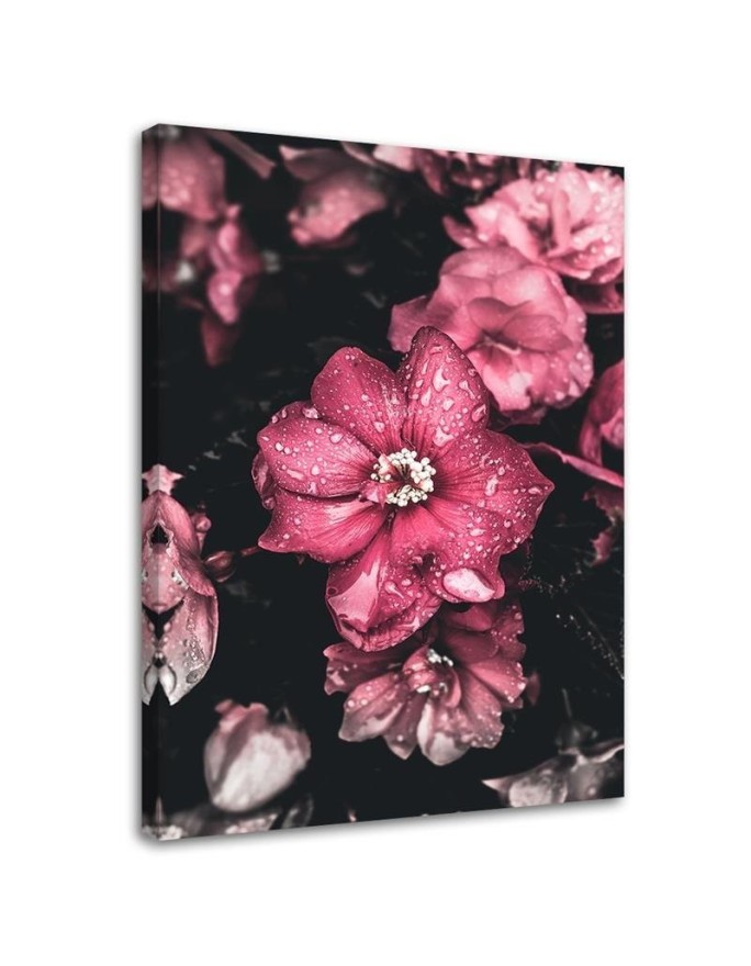 Leinwandbild - Rosa Blumen auf dunklem Hintergrund | Feeby