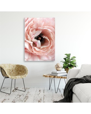 Bild auf Leinwand - Pastellfarbene Pfingstrose | Feeby