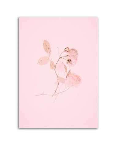 Leinwandbild modern - Minimalistische rosa Blume | Feeby