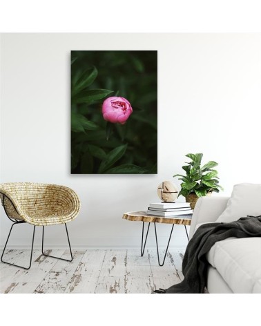 Bild auf Leinwand - Rosa Blütenknospe | Feeby