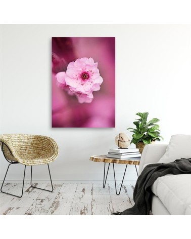 Leinwandbild - Kirschblüte auf einem rosa Hintergrund | Feeby