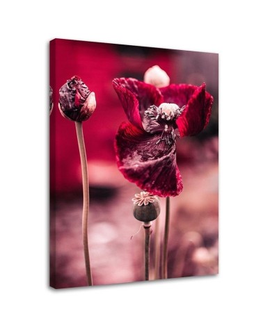 Modern Canvas painting for bedroom - Red poppies in a meadow | FEEBY