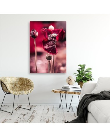 Bild auf Leinwand - Rote Mohnblumen auf einer Wiese | Feeby