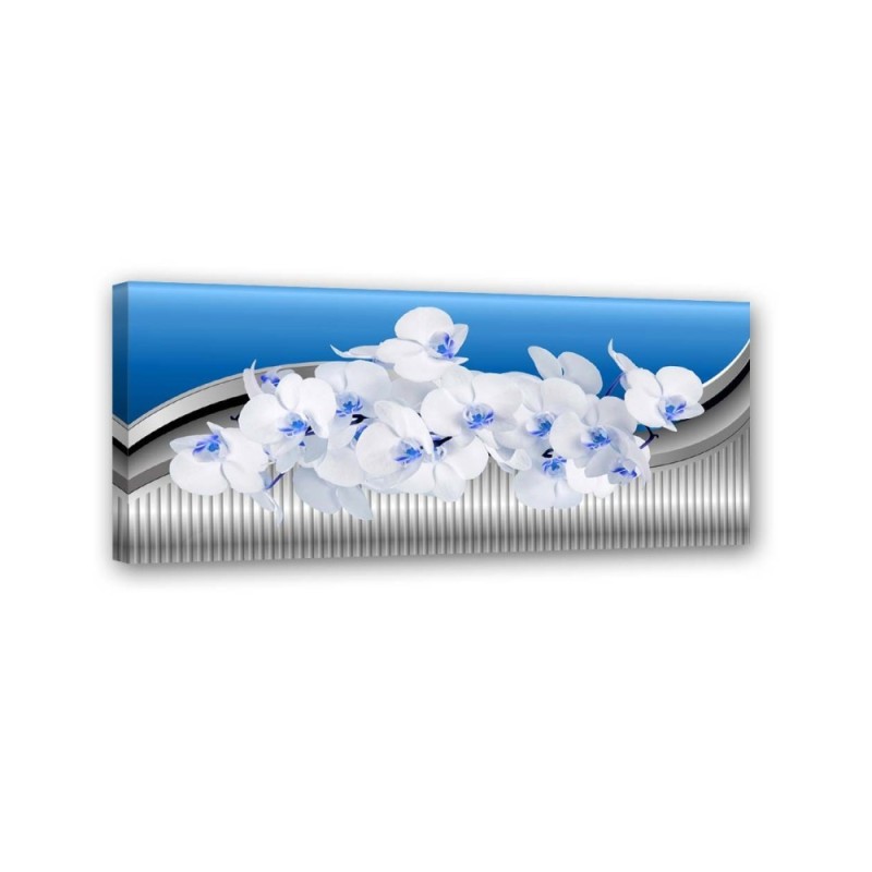 Leinwandbild - Weiße Orchidee auf blauem Hintergrund | Feeby