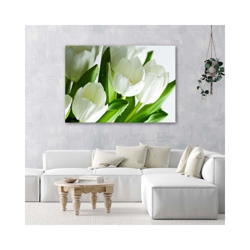 Leinwandbild - Weiße Tulpen | Feeby