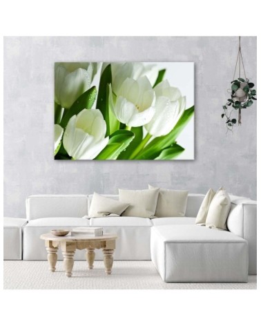 Leinwandbild - Weiße Tulpen | Feeby