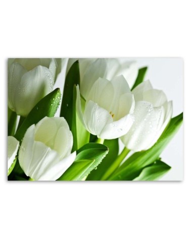 Leinwandbild - Weiße Tulpen | Feeby