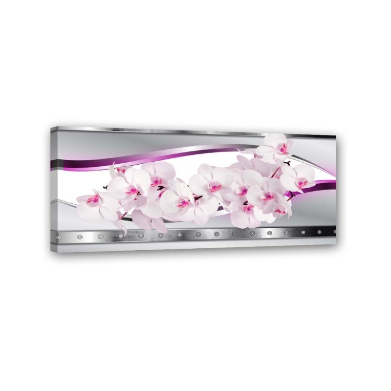 Wandbild für Wohnzimmer - Weiße rosa Orchidee | Feeby