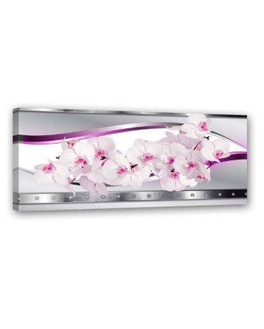 Wandbild für Wohnzimmer - Weiße rosa Orchidee | Feeby