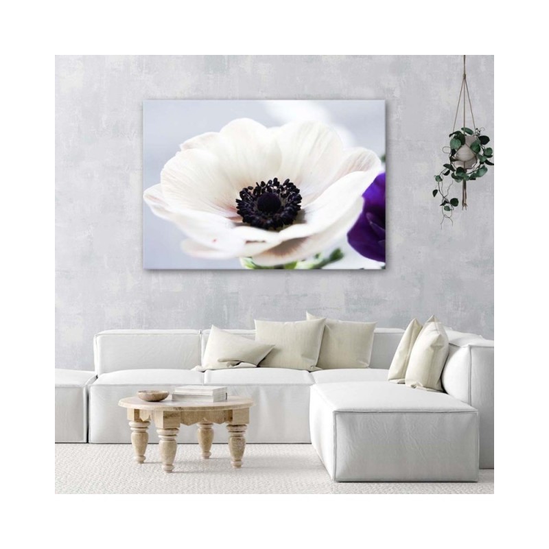 Modernes Wandbild - Weiße Anemone auf grauem Hintergrund | Feeby