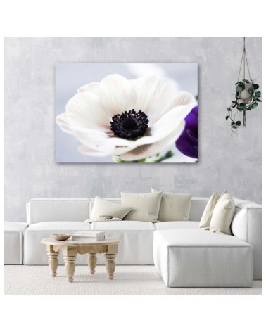 Modernes Wandbild - Weiße Anemone auf grauem Hintergrund | Feeby