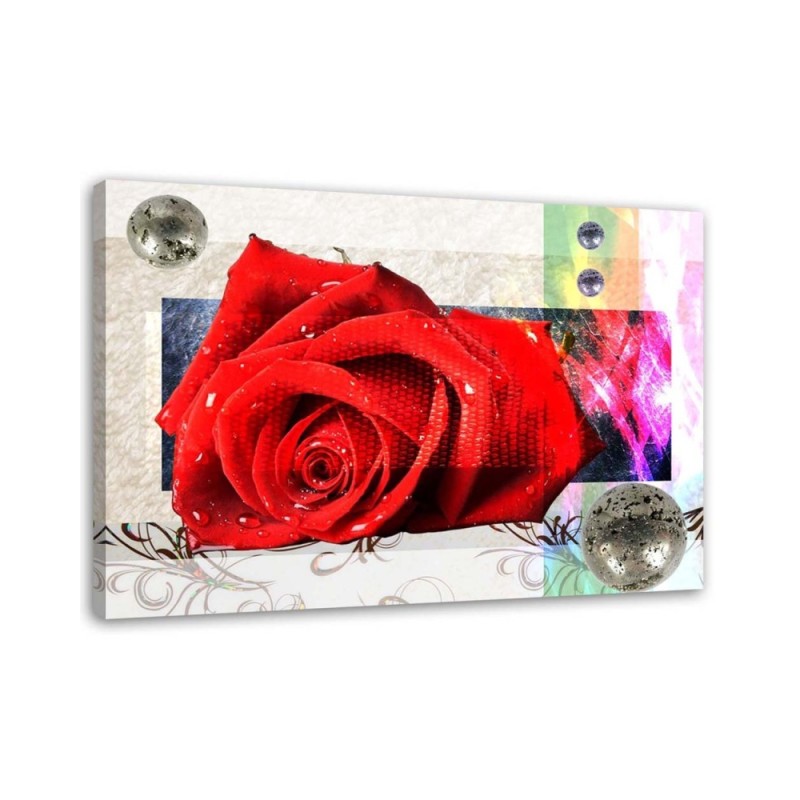 Leinwandbild - Geometrische Komposition mit roter Rose | Feeby