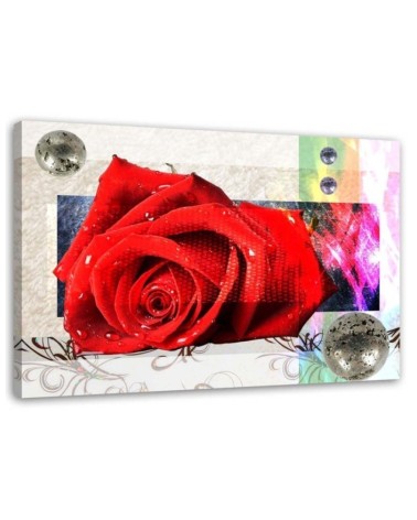 Leinwandbild - Geometrische Komposition mit roter Rose | Feeby
