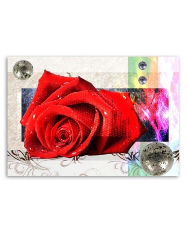 Leinwandbild - Geometrische Komposition mit roter Rose | Feeby