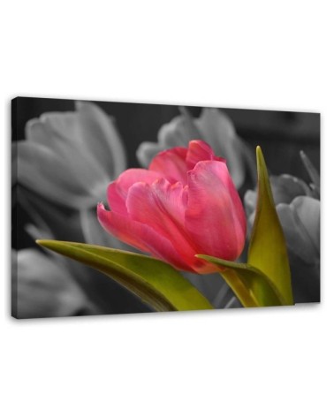 Blooming red tulip - Modern Canvas painting for bedroom | FEEBY