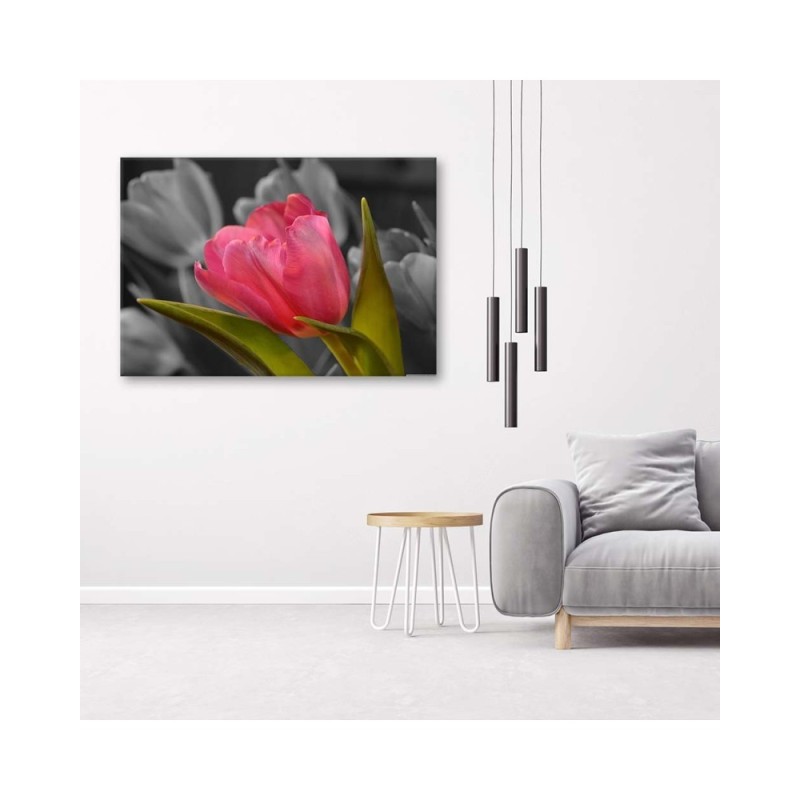 Modernes Wandbild - Blühende rote Tulpe | Feeby