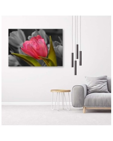 Modernes Wandbild - Blühende rote Tulpe | Feeby