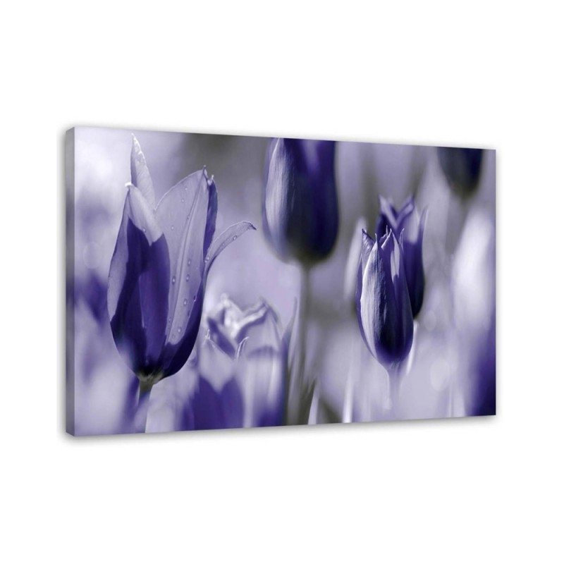 Dekoratives Leinwandbild - Lila Tulpen auf einer Wiese | Feeby