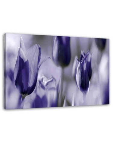 Purple tulips in a meadow - Canvas print | FEEBY